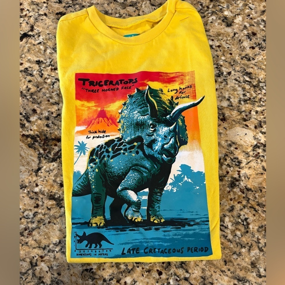 🦖Dinosaur Tee